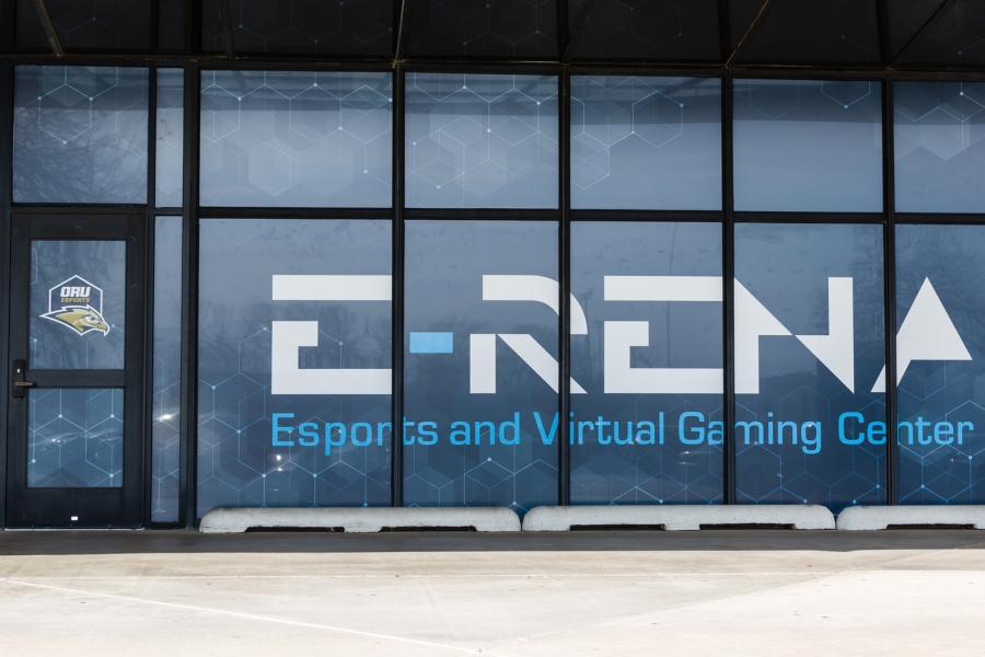 erena doors